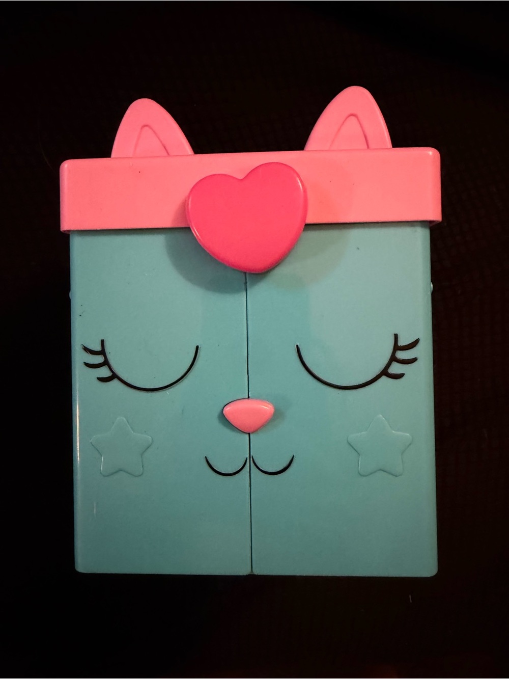 Kids Cat-Themed Jewelry Case in Teal & Pink
